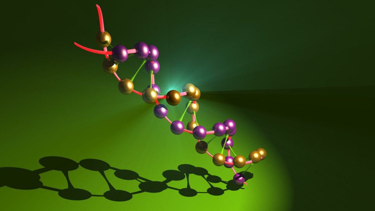 Image of a DNA double helix.