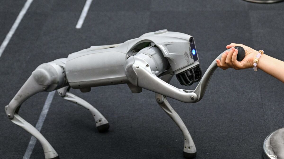 A girl holds the hand of a remote-controlled robot by Unitree Robotics while visiting the Unitree Robotics Embodied Intelligence Experience Center in the Jing' an district in Shanghai on August 17, 2026.