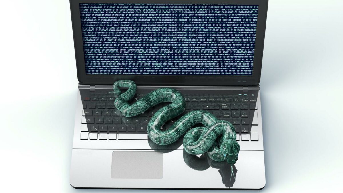Illustration of a digital snake emerging from a laptop computer whose screen is displaying lines of code